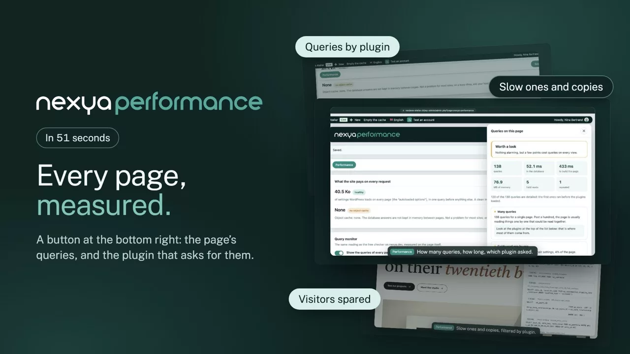nexya performance on video: WordPress query monitor