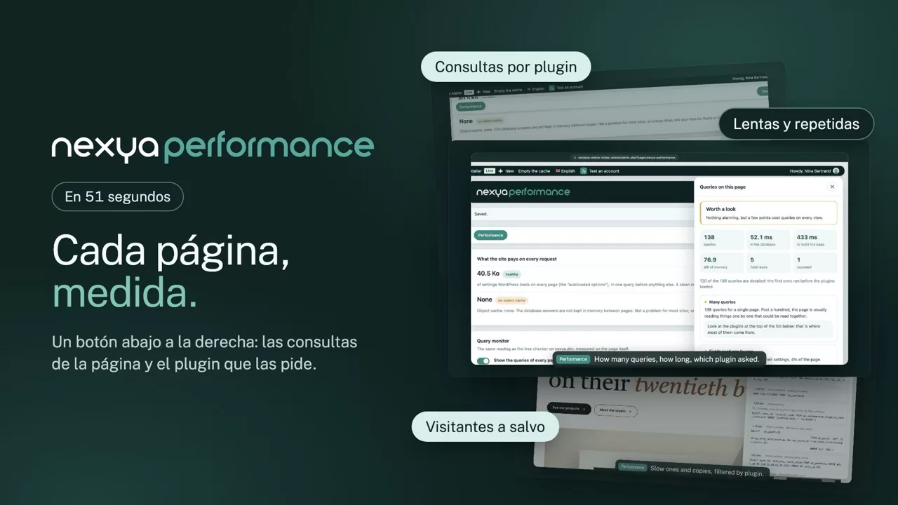 nexya rendimiento en vídeo: Monitor de consultas de WordPress