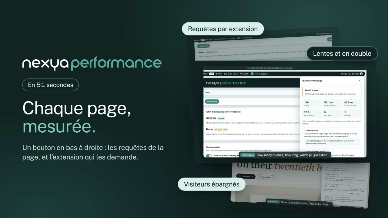 nexya performance en vidéo : Moniteur de requêtes WordPress