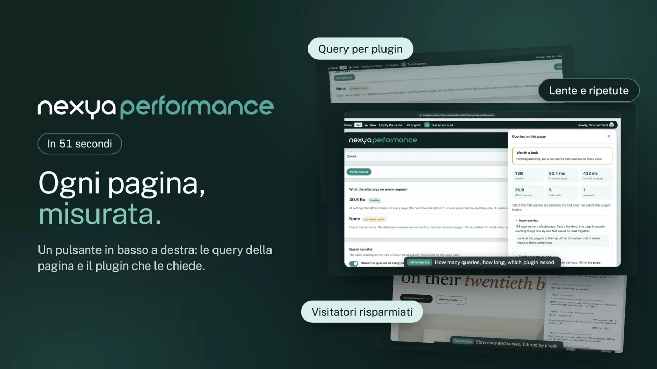 nexya prestazioni in video: Monitor delle query di WordPress
