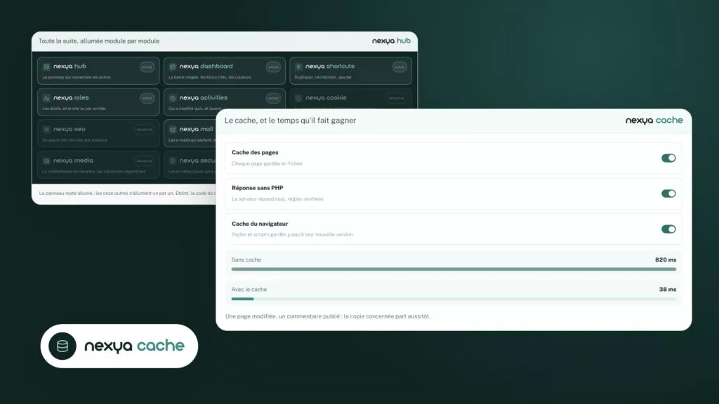 Site WordPress lent ou cache qui montre une ancienne page : trouver la cause