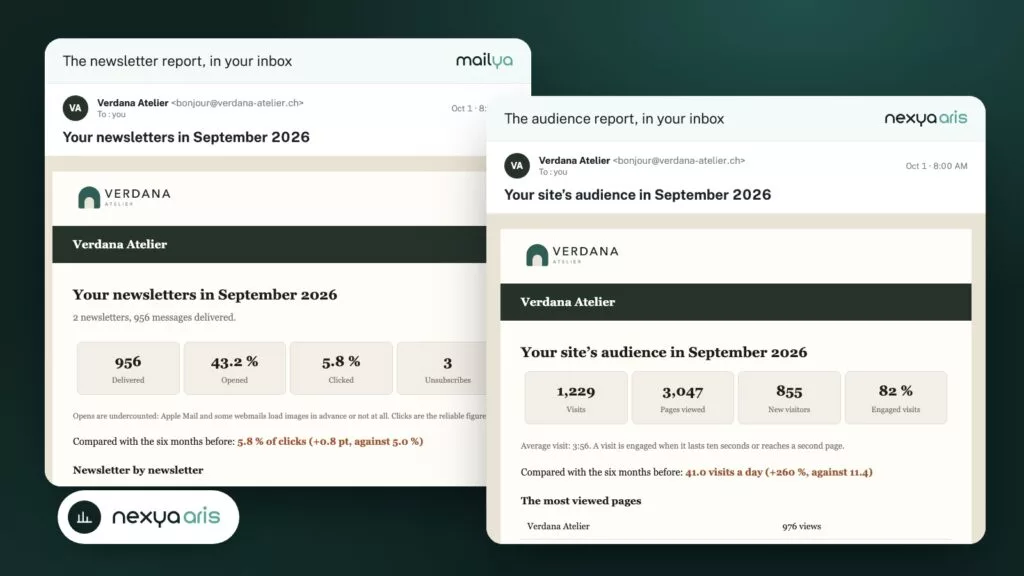 Monthly WordPress Report: your site and newsletters summarized every month